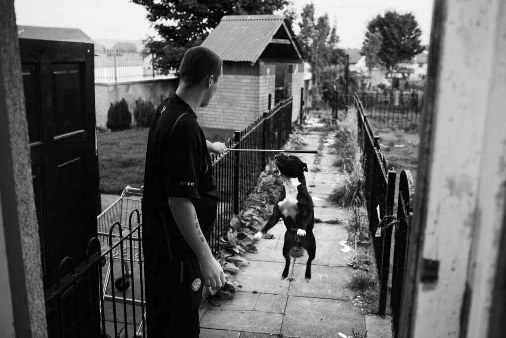 David Gillanders Photographer